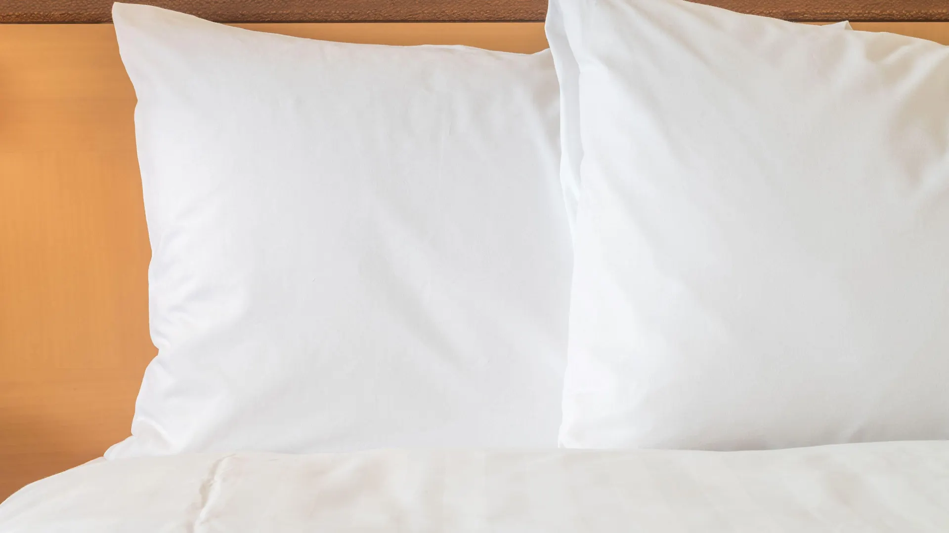 Hotel Staybridge Suites Columbus-Airport By Ihg